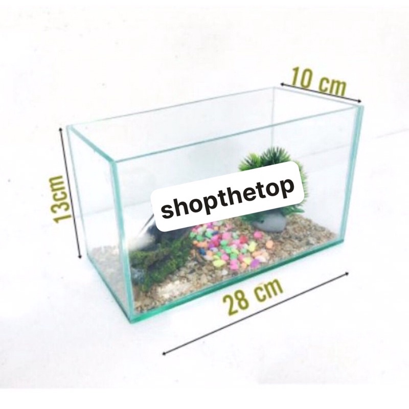 bê cá mini 28x13x10 kính 5li bể nhỏ thích hợp để bàn làm việc