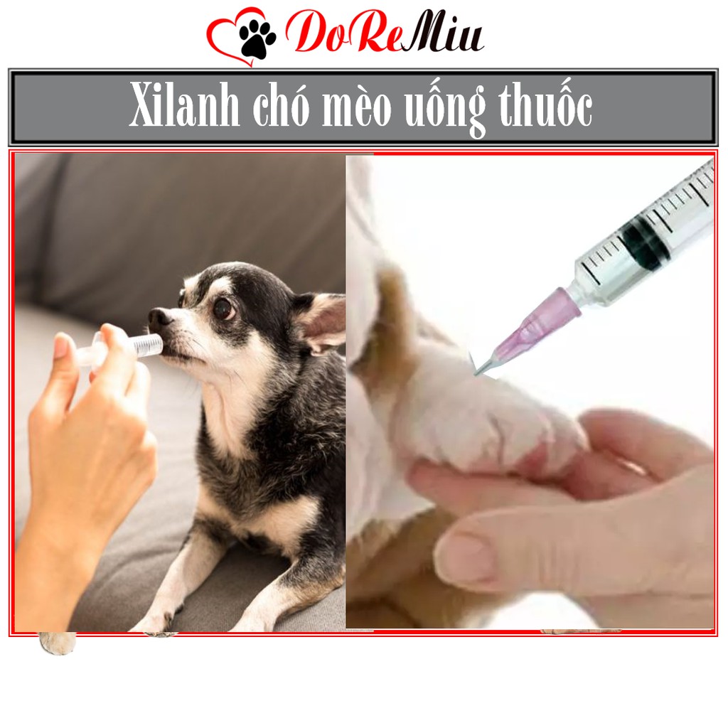 Doremiu- Xilanh cho chó mèo - dụng cụ thú y uống sữa uống thuốc tiêm thuốc