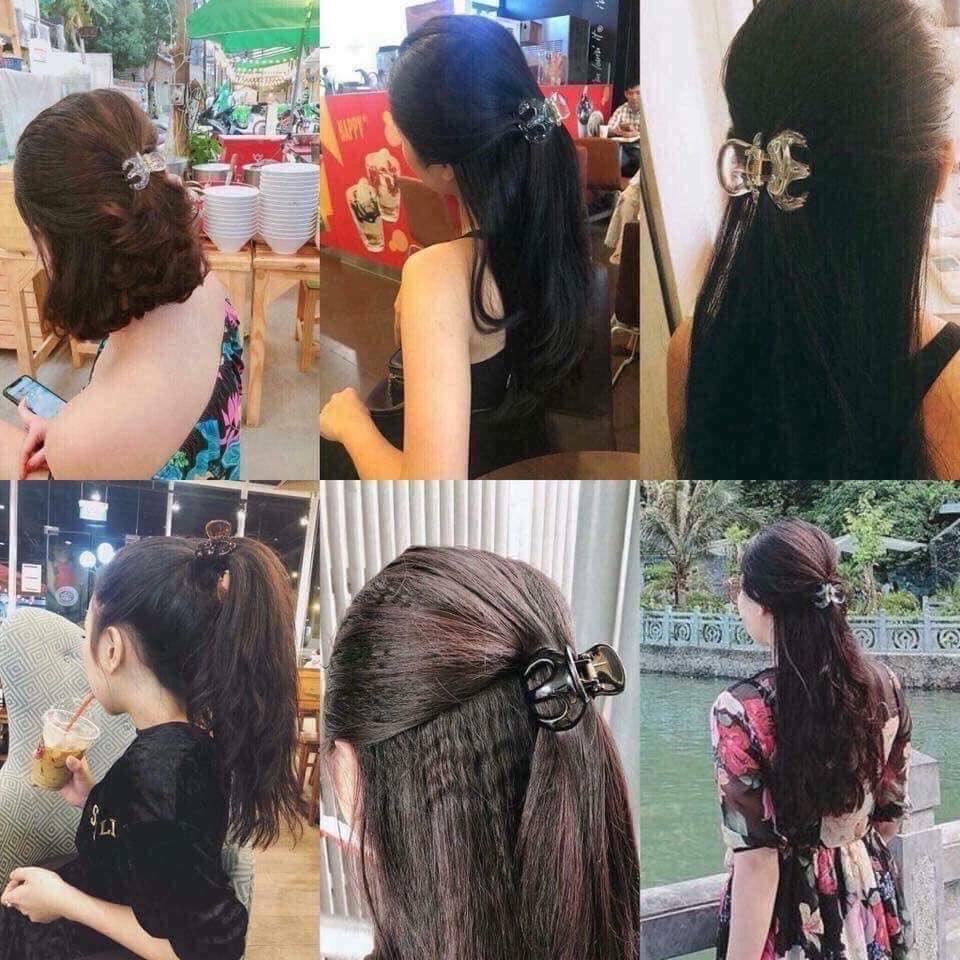 COMBO 6 Kẹp Càng Cua Thái Lan R-Roche Qwanunt