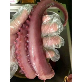 Râu Bạch Tuộc Khổng Lồ