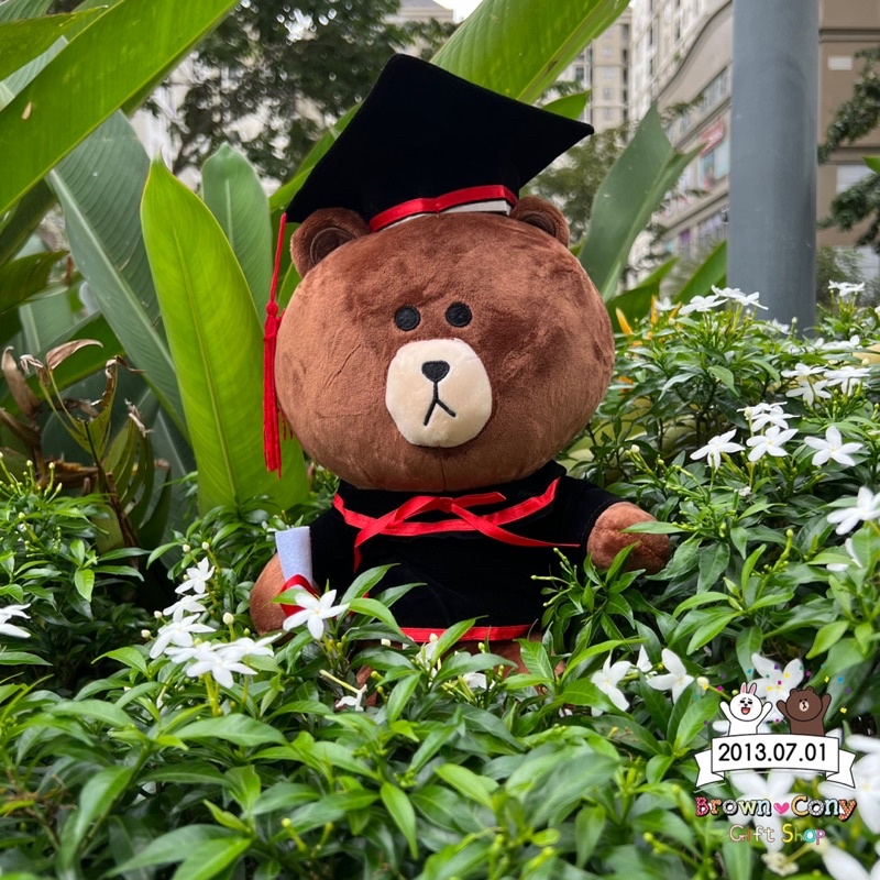 Gấu bông tốt nghiệp gấu Brownnnnn