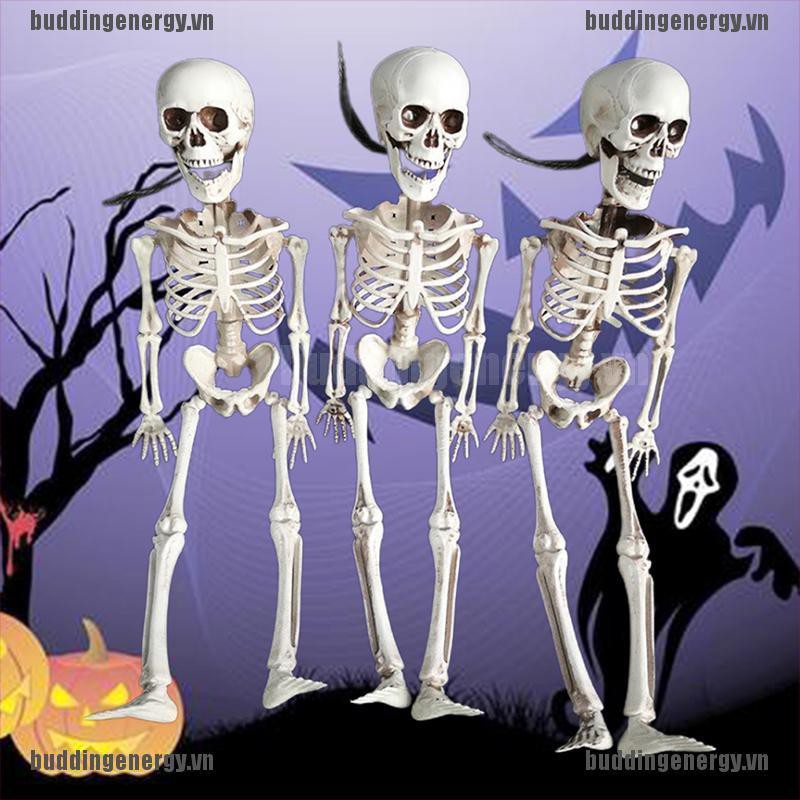 Mô Hình Bộ Xương Người 40cm Dùng Để Trang Trí Tiệc Halloween Tiện Dụng