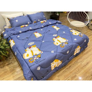 Trọn bộ 5 món chăn phao poly cotton [ mẫu mèo cát xanh ]
