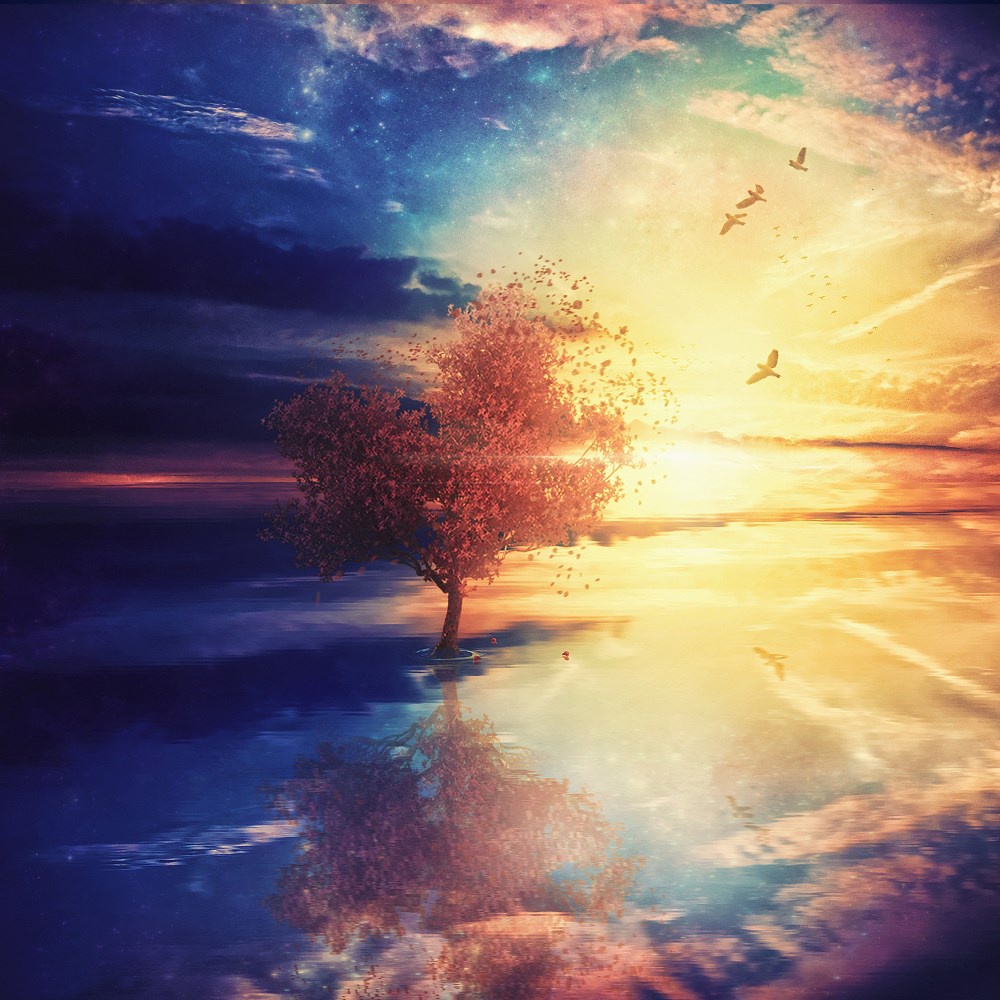 Bộ Tranh Đính Đá 5D Tự Làm 30*30CM Hình Phong Cảnh Trang Trí Nhà Cửa