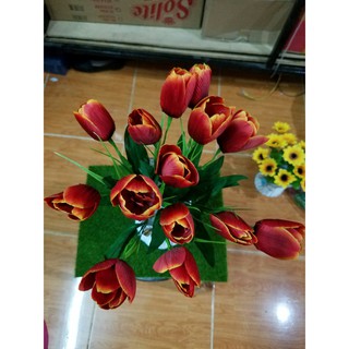 Bình hoa tulip