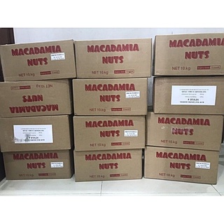 Hạt macca Úc vỏ nứt tự nhiên (tặng đồ tách)