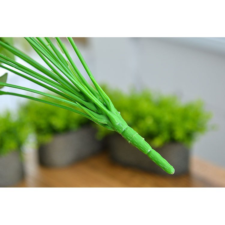 CÂY HOA HỒNG MÔN YẾN SIZE LỚN cao 50cm - 5 HOA ĐỎ - Trang trí