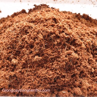 GIÁ THỂ MÙN XƠ DỪA(DỪA NGHIỀN)- Chuyên dùng trồng cây, gieo ươm hạt giống