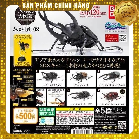 Bộ sưu tập bọ cánh cứng Kamen Rider 1797 2