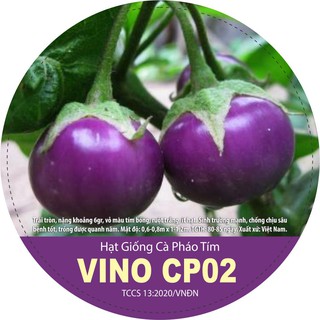 HẠT giống cà pháo tím VINO CP02 1gr