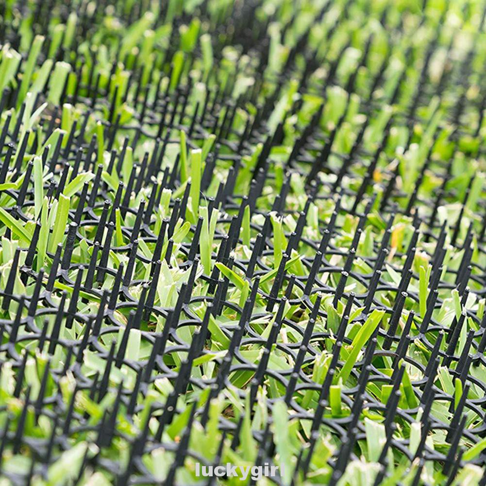 Bộ 10 thảm gai ngăn chó mèo tiến vào sân vườn chất lượng cao