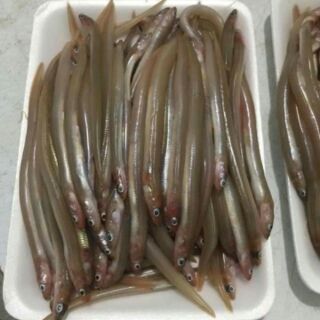 Cá Sụn sịn khay 500g