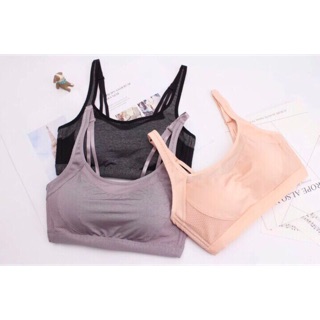 Bra tập gym mút đúc có bigsize hàng đẹp