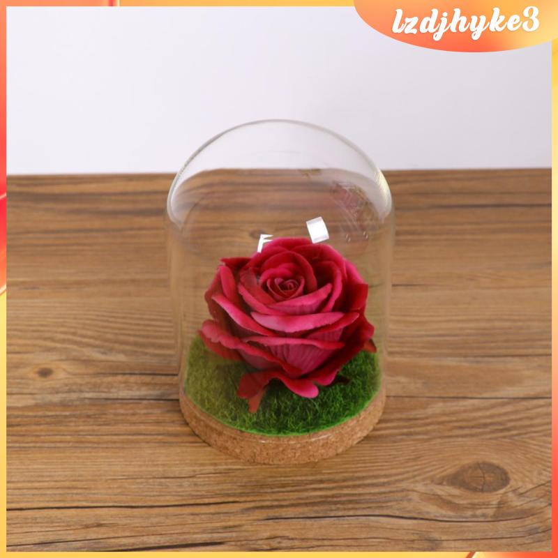 Hũ Thủy Tinh Hình Mái Vòm Cho Nhà Búp Bê lzdjhyke3