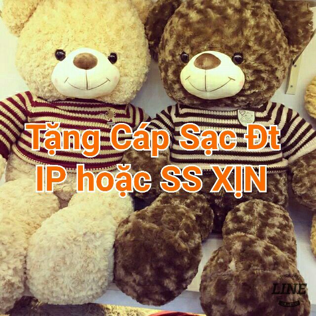 (TOP HIT) GẤU TEDDY 1M3 KHỔ VẢI LÔNG XOẮN