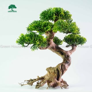 Lũa Bonsai, Lũa thủy sinh dùng trang trí hồ cá cảnh, hồ thủy sinh, văn phòng, nhà cửa (PLASTIC/12)