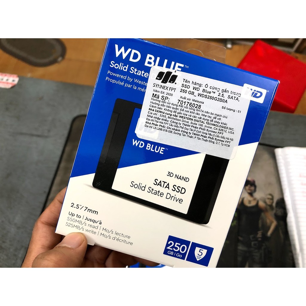 SSD WD Blue 250gb 500gb SATA III. NEW - BH 5 năm - Hàng chính hãng