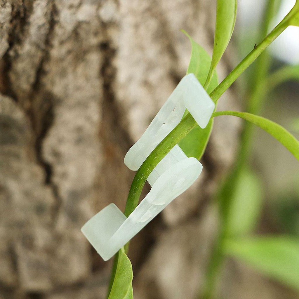 Dụng Cụ Nhựa Trồng Cây Xoay 360 Độ Giải Tỏa Căng Thẳng