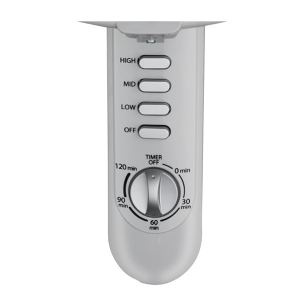 Quạt đứng Toshiba F-LSA10(H)VN Xám/Đen