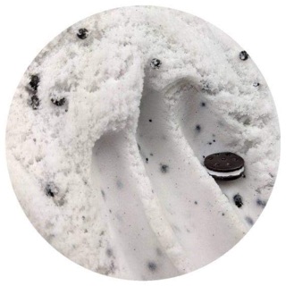 Slime bánh oreo basic-mây-xốp