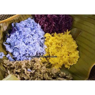 Quả dành dành (hạt dành dành) - 100gr