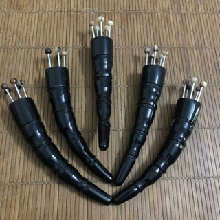 Bọ cạp hoa khế sừng đen 1