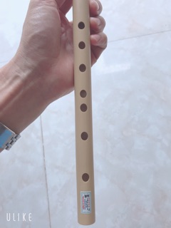 Sáo dizi việt (free ship)