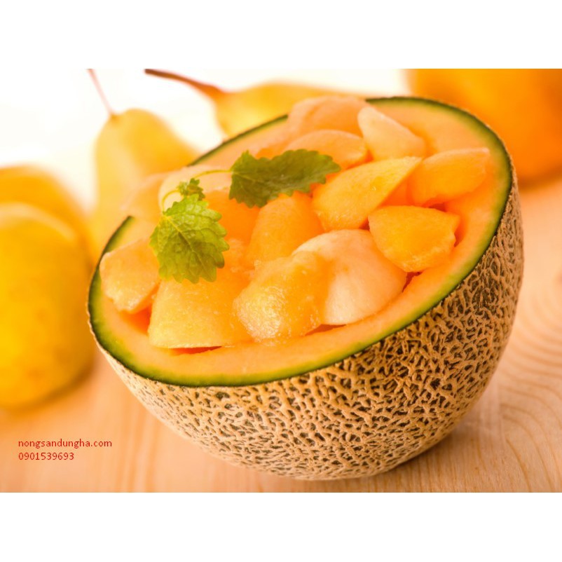 Hạt Giống Dưa Lưới Vàng Chịu Nhiệt  - Giòn Ngọt, Giàu Vitamin, Năng Suất Cao - MUA 3 TẶNG 1 CÙNG LOẠI