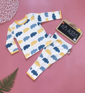 Combo 4 bộ dài tay cho bé