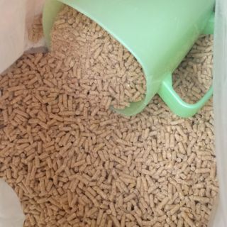 2kg cám viên cho gà từ 21 ngày tuổi