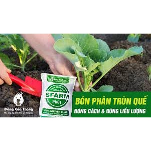 1 Kg Phân bón trùn quế hữu cơ nguyên chất bổ sung dinh dưỡng cải tạo đất cây trồng Tổng kho hạt giống giá rẻ