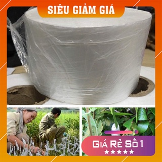 Giấy ghép cây tự hủy rộng 5cm - băng keo ghép cây giúp bảo vệ mối ghép-băng ghép cây, màng ghép cây, dây quấ