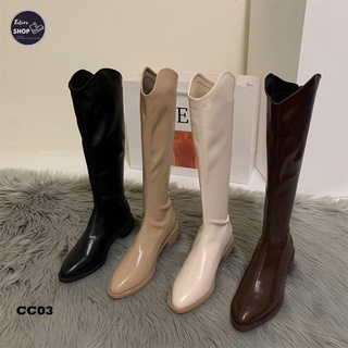 Giày bốt nữ cổ cao 35cm đế 3cm - cc03