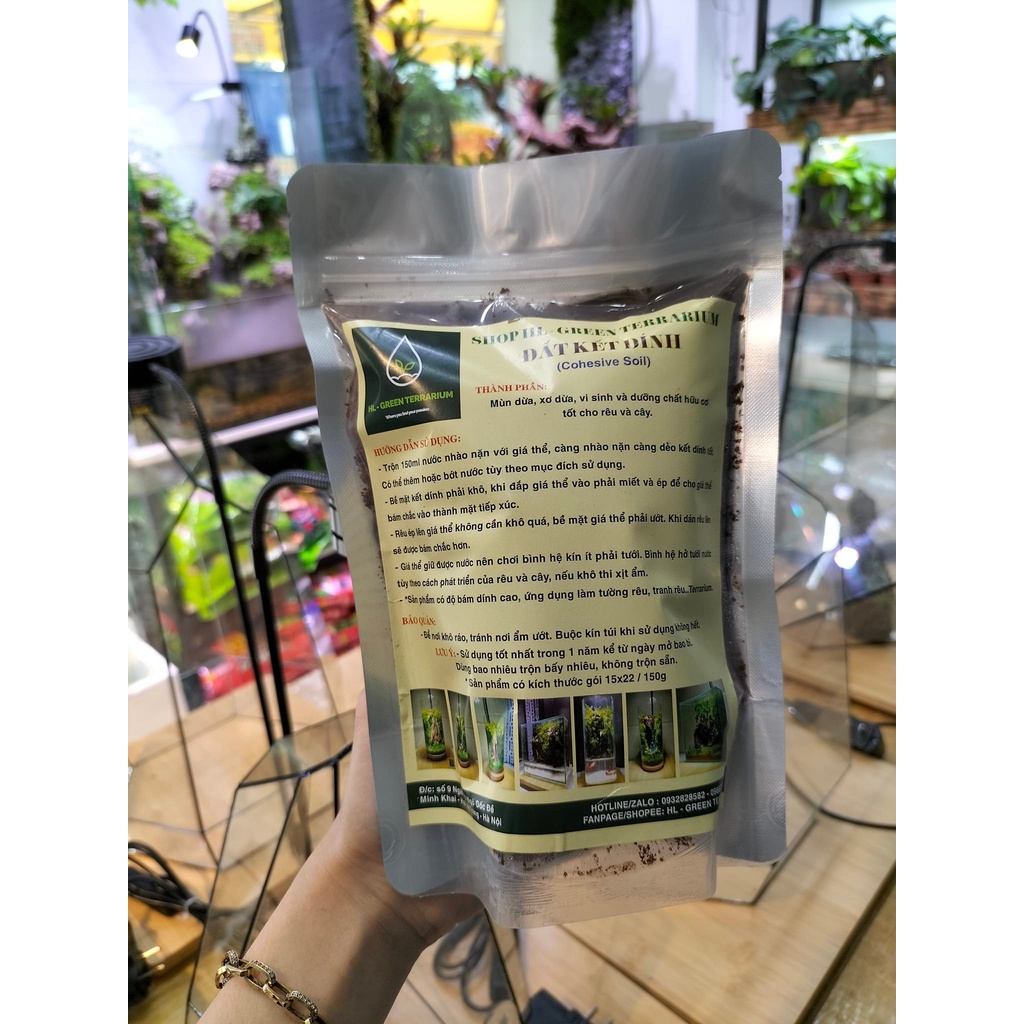 Đất kết dính làm tranh rêu tường rêu Terrarium bán cạn