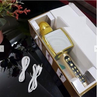 Mic hát karaoke Ys-91.