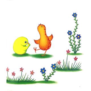 Bạn Chim Cút Chơi Trốn Tìm