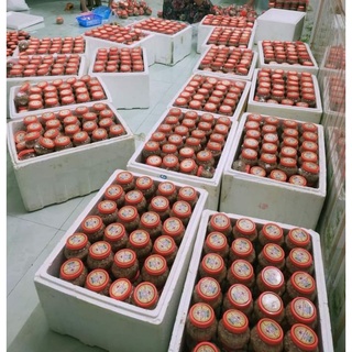 1 lọ chẩn chéo Tây Bắc