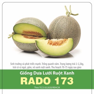Hạt Giống Dưa Lưới Ruột Xanh 173 (10 hạt)