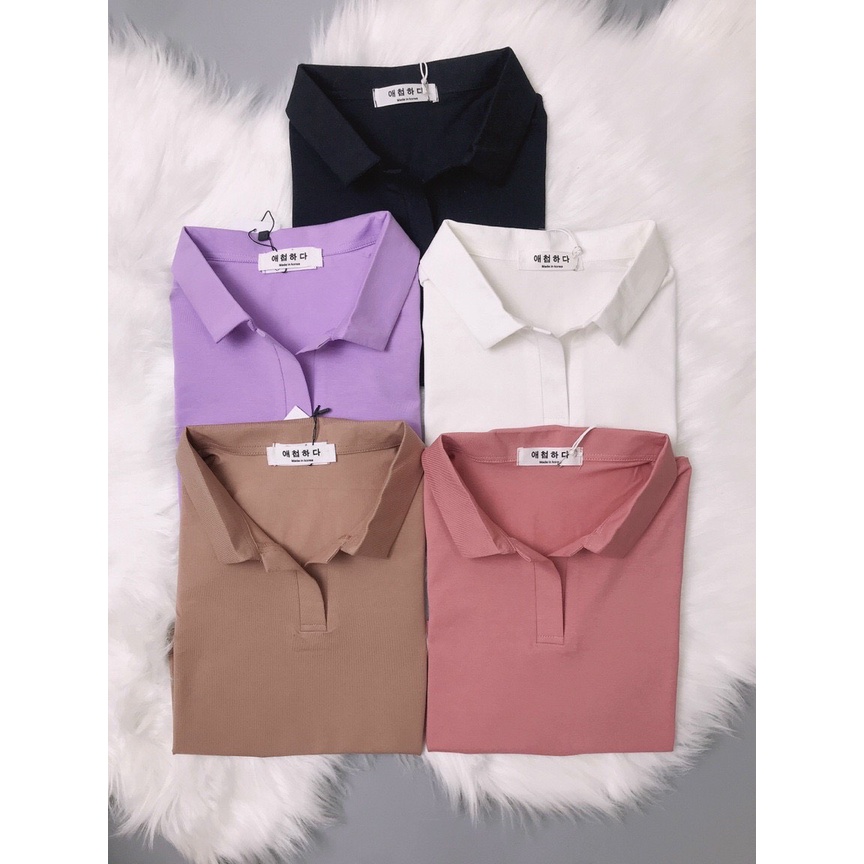 Áo croptop nữ có cổ vải cotton mịn co giãn croptop ngắn tay thun đẹp | BigBuy360 - bigbuy360.vn