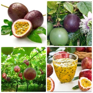 1kg Chanh Leo Tươi Chanh Tím Thơm Ngon Giải Nhiệt Nước Chanh Leo