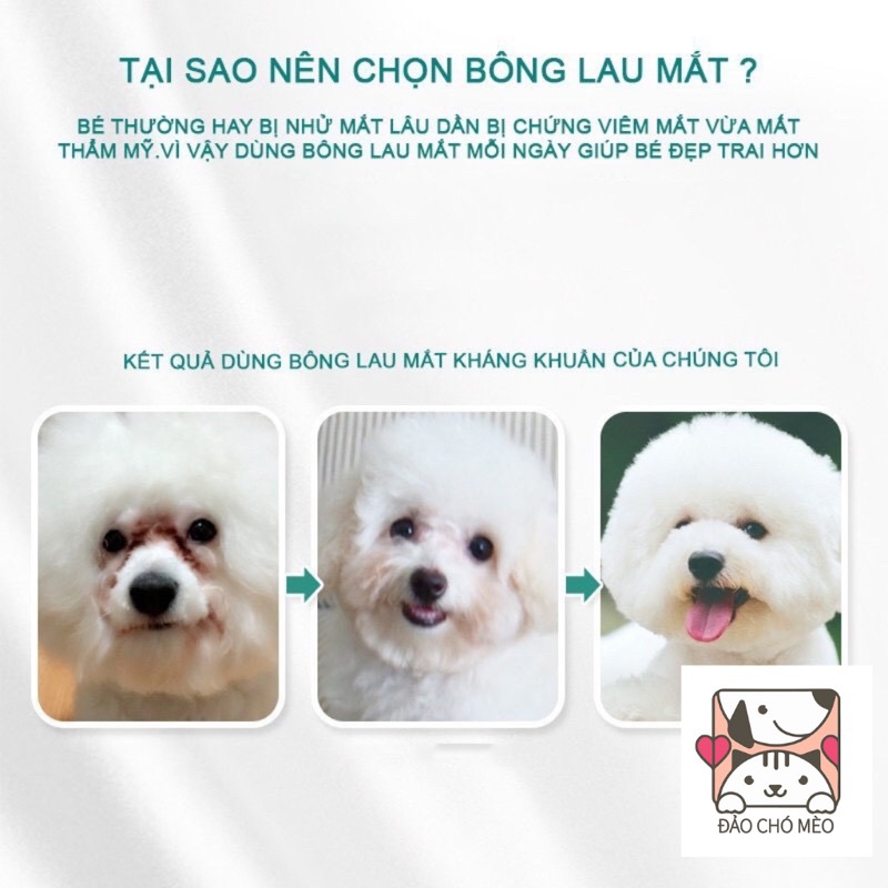 Khăn lau,  bông lau vệ sinh tai - vệ sinh mắt cho chó mèo - Hộp 100 miếng tiện dụng Pet - Đảo Chó Mèo Official