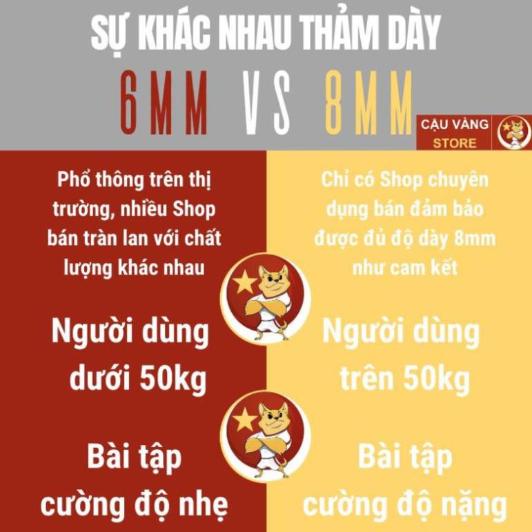 Thảm tập yoga, gym, tập thể dục tại nhà chống trượt 2 lớp cao su TPE cao cấp,