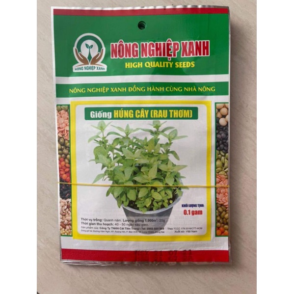 HẠT GIỐNG HÚNG CÂY (RAU THƠM)