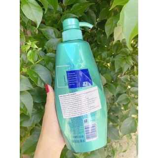 ĐẦU GỘI REJOICE THÁI LAN 600ML