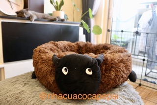 Nệm cho chó mèo hình cừu con (big size)
