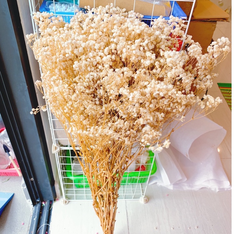 [SIÊU TIẾT KIỆM] Bó hoa baby khô 450-500gr siêu to trang trí decor nội thất tiết kiệm