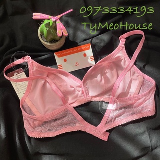 🌱 Áo Không Gọng MỎNG MỊN 🌱 Made in VN 🥇