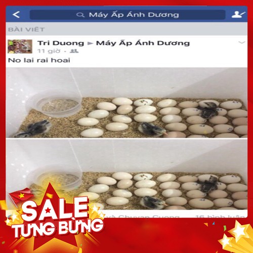 [ GIẢM GIÁ ] ComBo bộ điều khiển p100+mô tơ đảo+thanh ray trượt+đèn pin+gói um+SHD