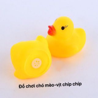 Vịt rubber chip chip - đồ chơi cho chó mèo