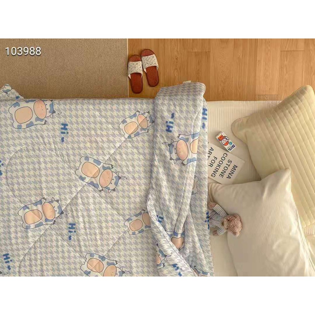 [CHĂN HÈ] Chăn Thun Lạnh Bình Minh Bedding Phong cách Hàn Quốc Size 2m x 2m3 đắp mùa hè hoặc phòng điều hoà rất hợp